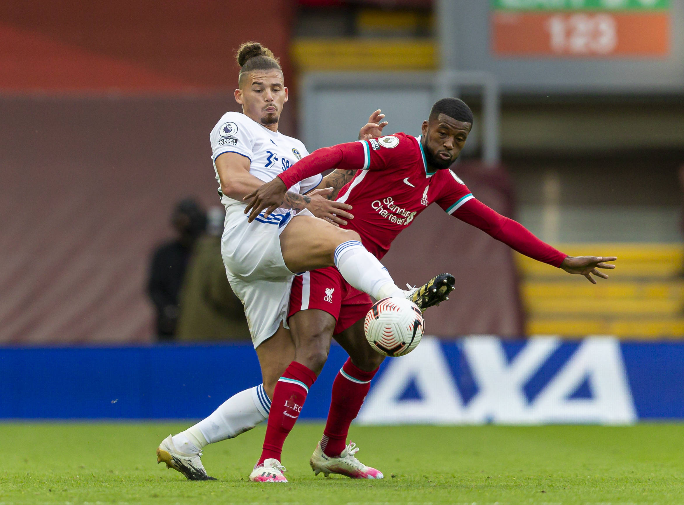 的年轻球员 的年轻球员